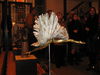 12_12_2011_Izlojba_na_Liubka_Kirilova_009.jpg